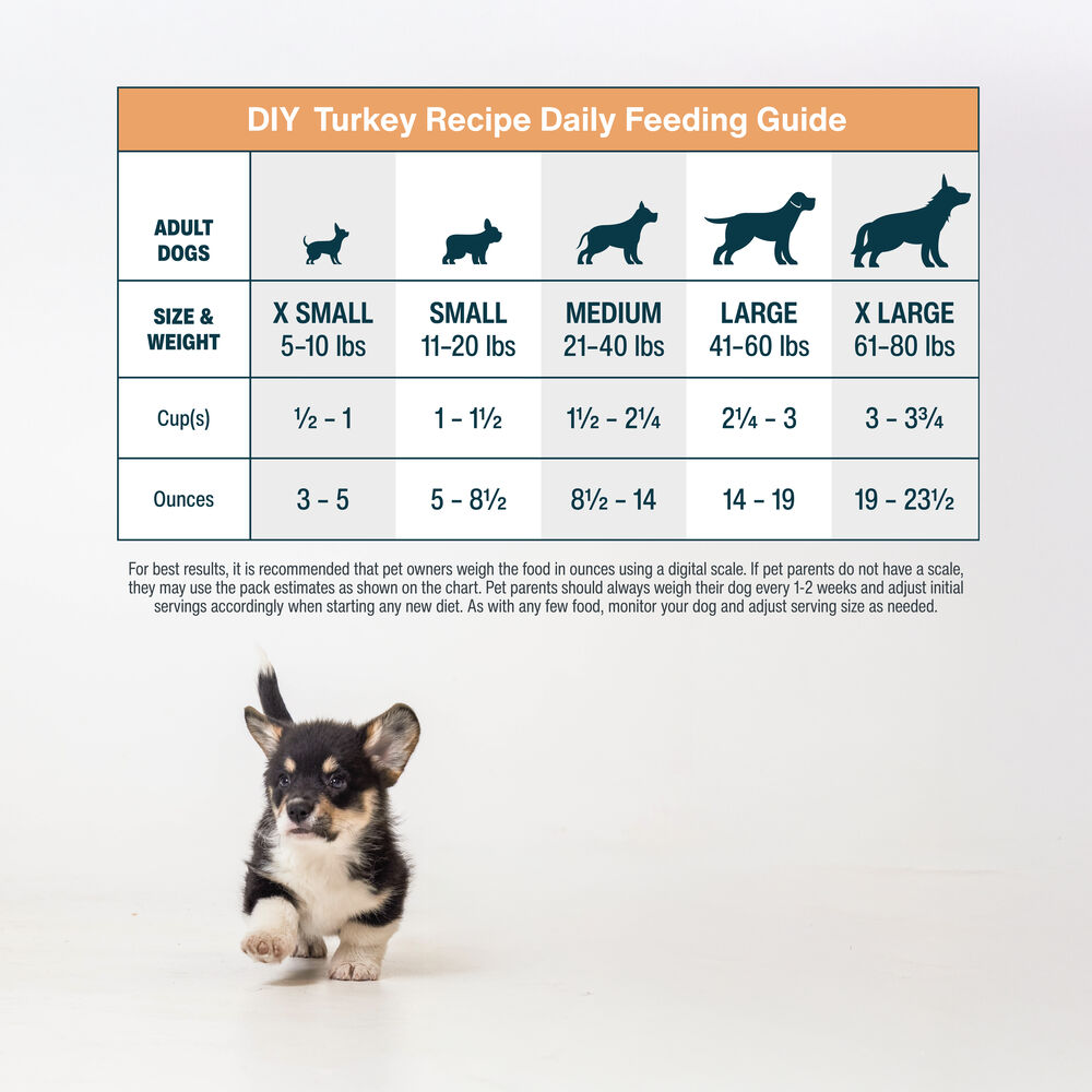 DIY Turkey + Omega Algae Oil Bundle